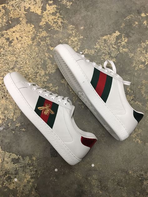 gucci ace